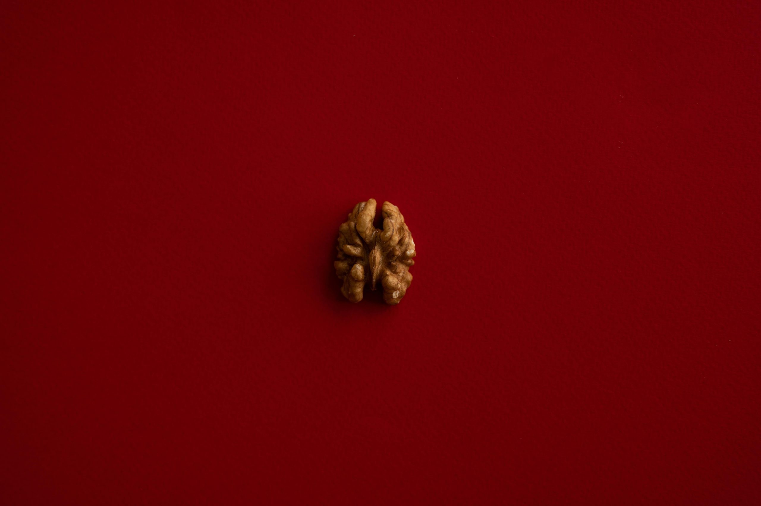 Brain rot. MIkä ja mitä se on, mistä se syntyy ja miten siihen voi vaikuttaa?
